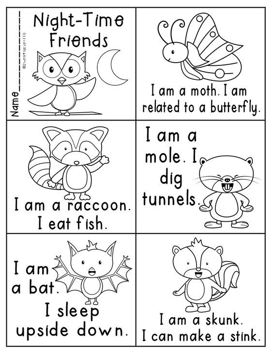 Nocturnal Animals Worksheets for Fun Learning Activities