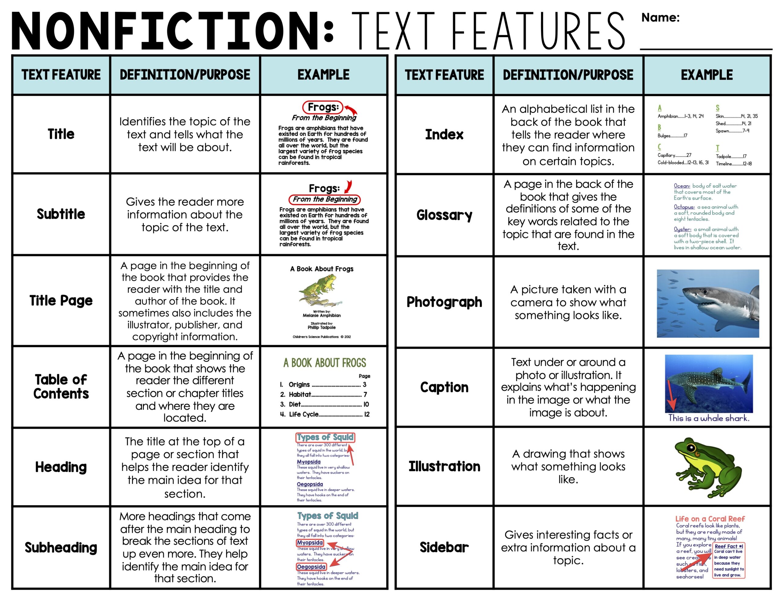 Nonfiction Text Features Puzzles Are A Fun Nonfiction Text Features