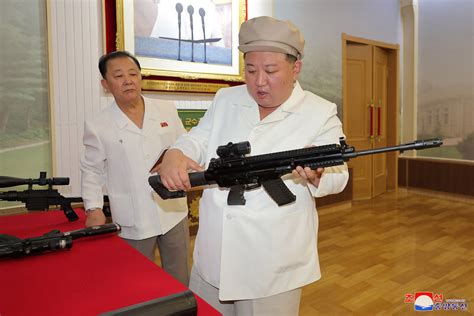 Top 5 North Korean Guns