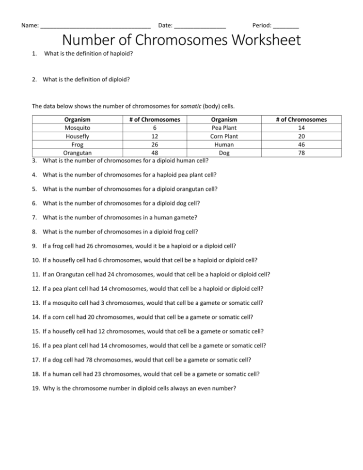 Number of Chromosomes Worksheet Answer Key Revealed