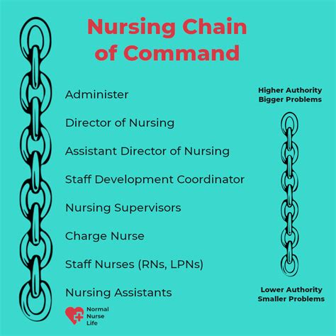 Nursing Chain Of Command Chart