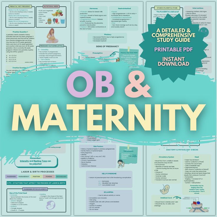 Nursing Ob Maternity Bundle Study Guide Notes 33 Pages Pdf Digital Download Printable Etsy