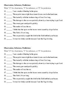 Observation Inference And Prediction Worksheet Answer Key Example Worksheet Solving