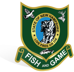 Official New Hampshire Hunter Safety Course Huntercourse Com