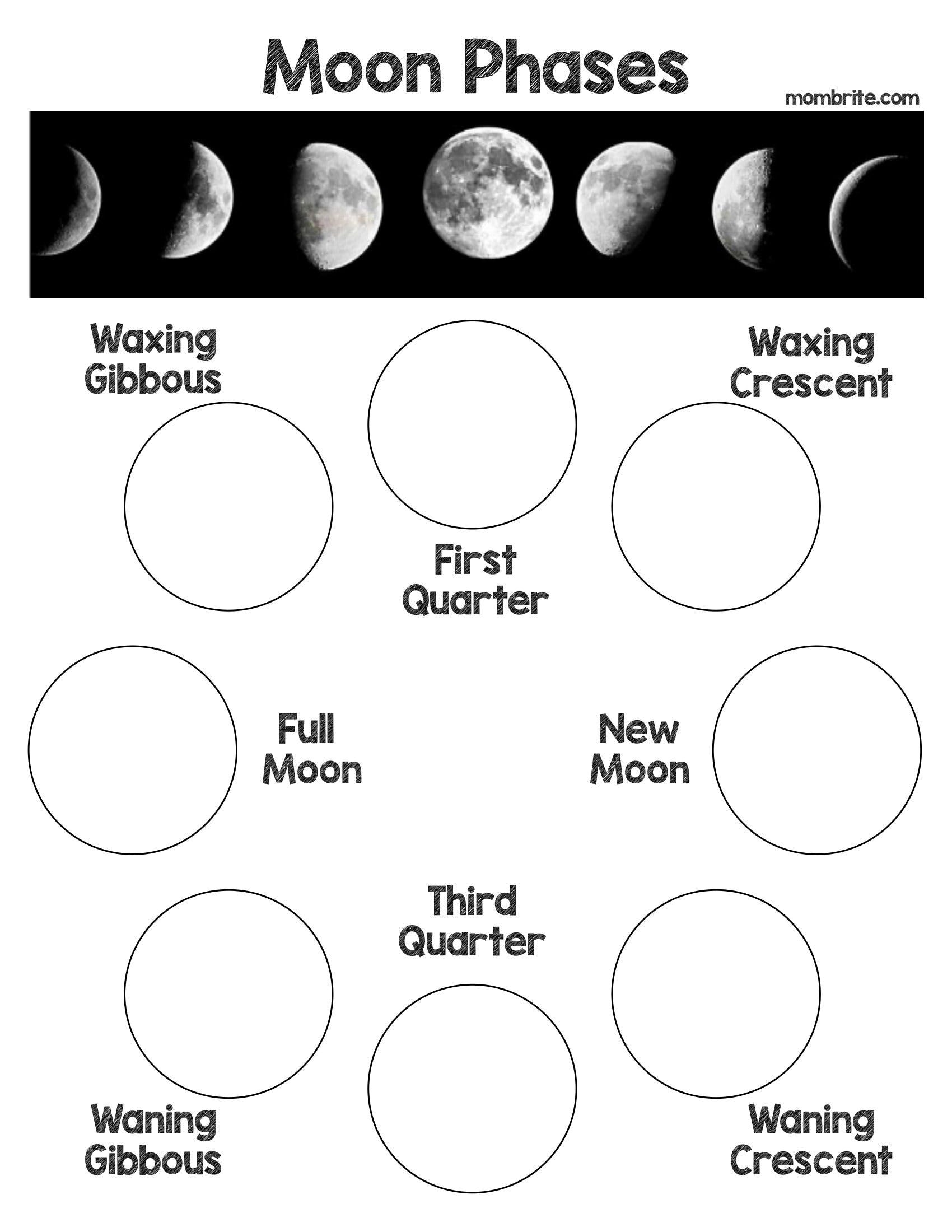 Oreo Cookie Moon Phases Activity Free Worksheet Moon Phases