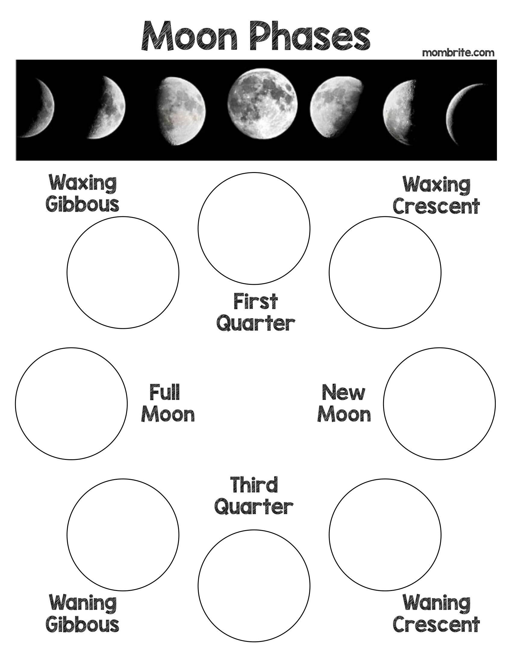 Oreo Moon Phases Activity Worksheet 5 Fizzics Education