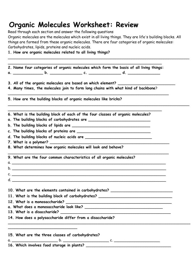 Organic Molecules Worksheets Answers