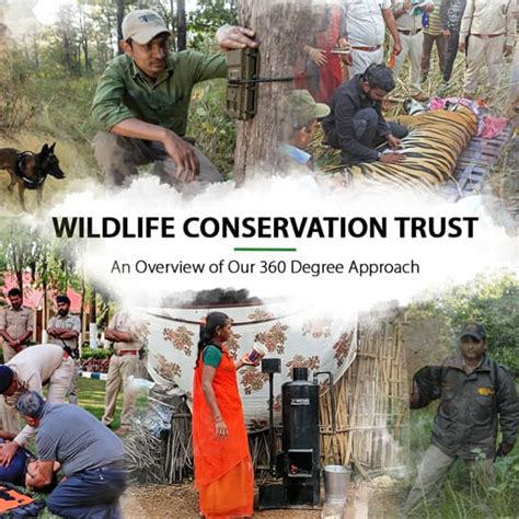 Our Approach Wildlife Conservation Trust