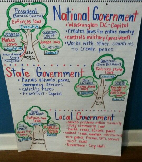 Our Local Government Anchor Chart 3Rd Grade Social Studies 4Th Grade