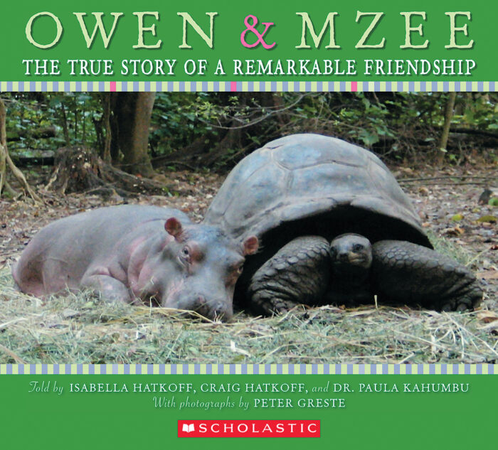 5 Fun Owen and Mzee Worksheet Ideas