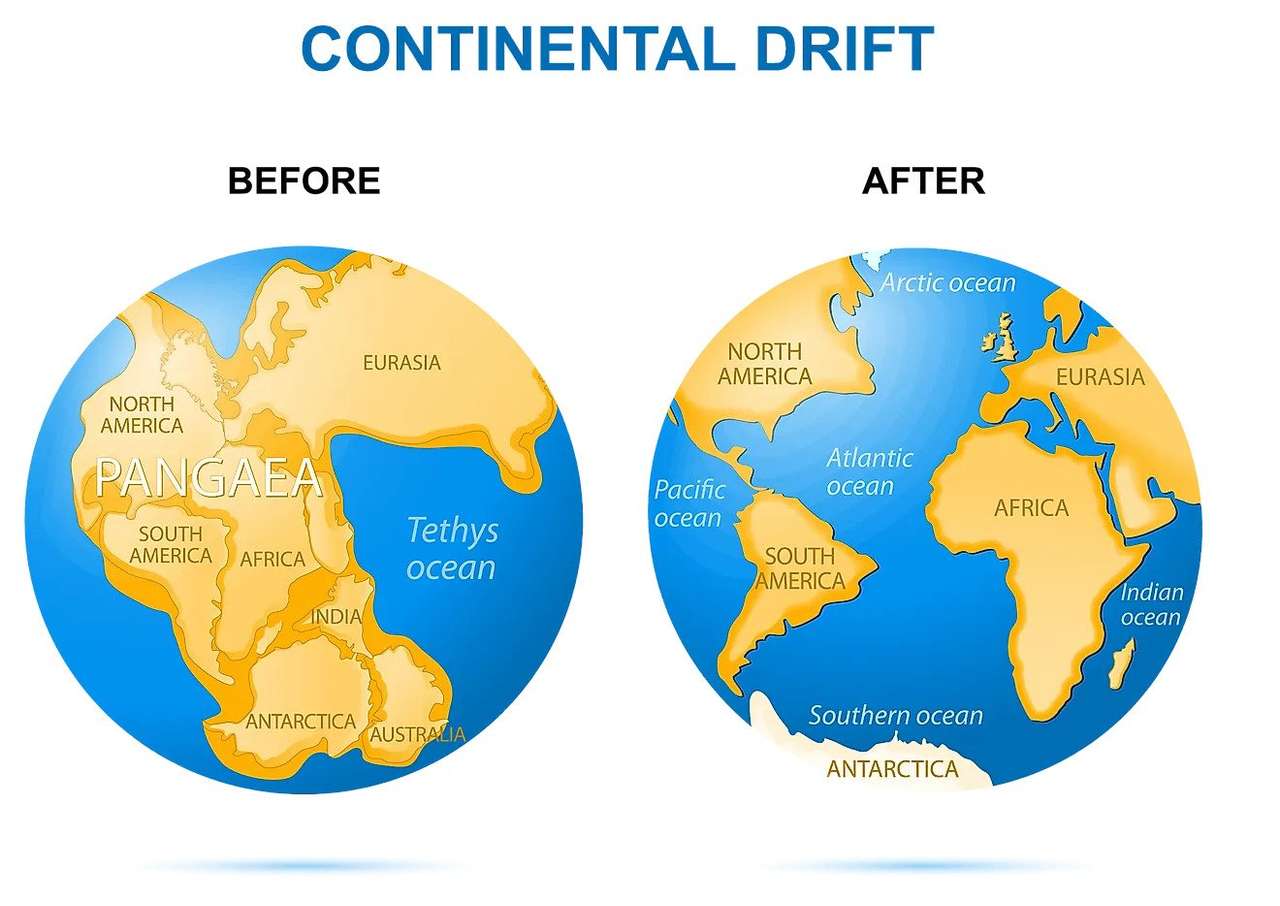 Pangea Continental Drift Puzzle Factory