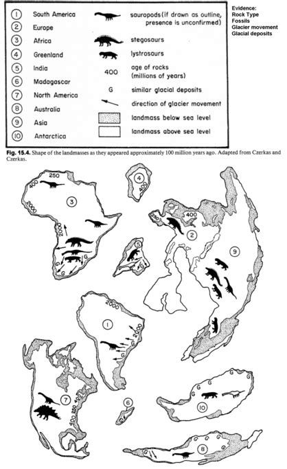 Pangea Puzzle Answers: 5 Insights into Earth's Ancient Puzzle