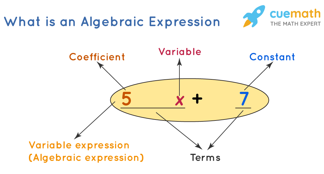 Parts Of An Algebraic Expression Worksheet By Stem Skills Tpt