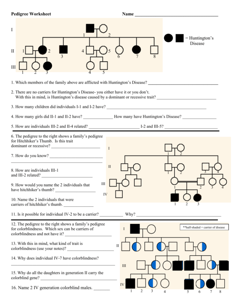 Pedigree Worksheet Ninthe Grade Bio