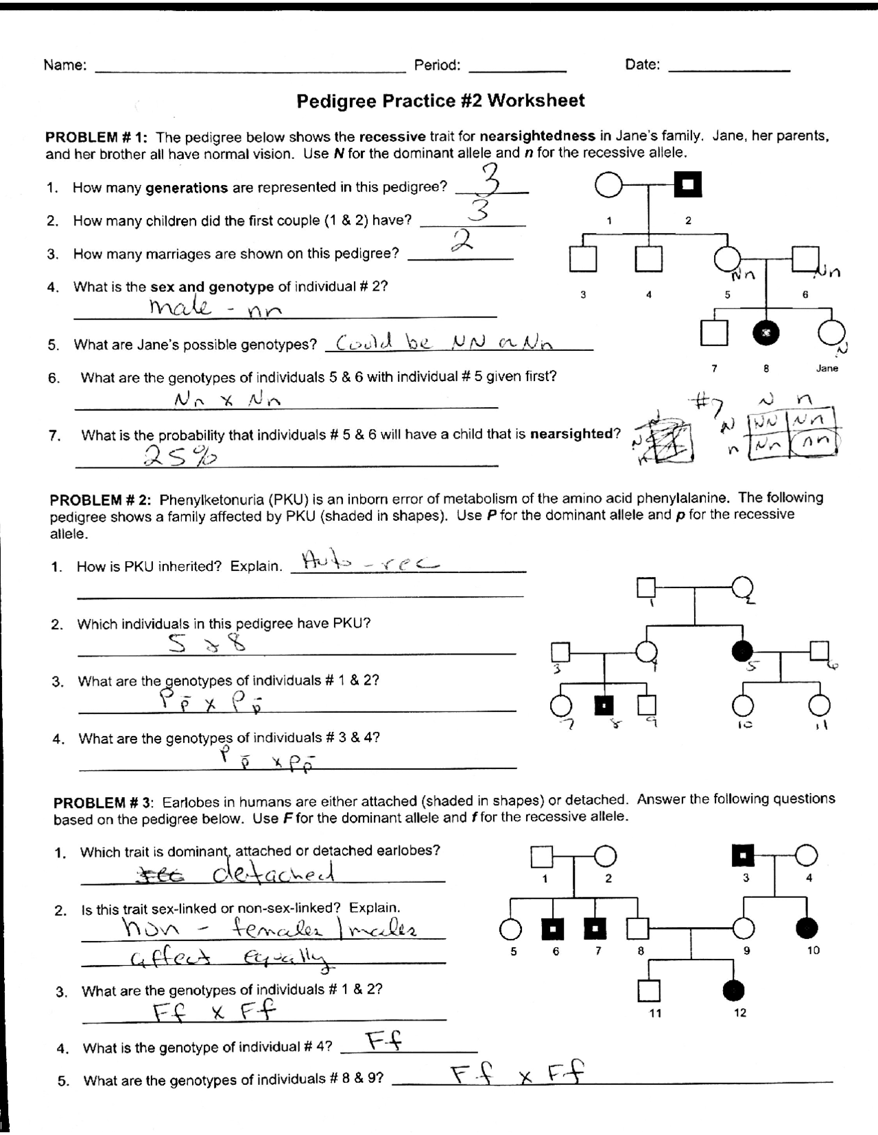 Pedigree Worksheets With Answers: Master Genetics Easily