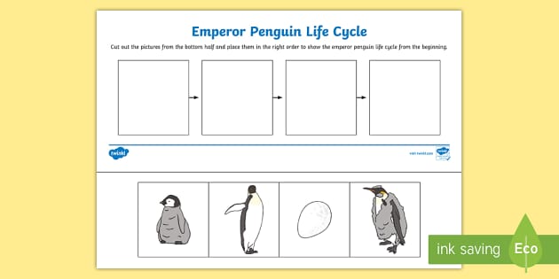 Penguin Schema Worksheet Penguin Life Cycle Penguin Chart Penguins