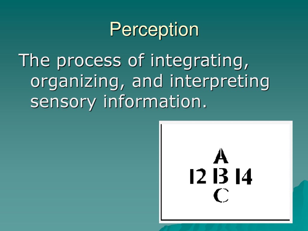 Perception The Process Of Integrating Organizing And Interpreting