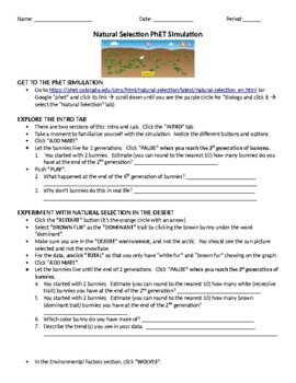 Phet Natural Selection Worksheet