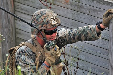 Photo Essay 2Nd Battalion 24Th Marines Conduct 2022 Training At Fort Mccoy Part I Article