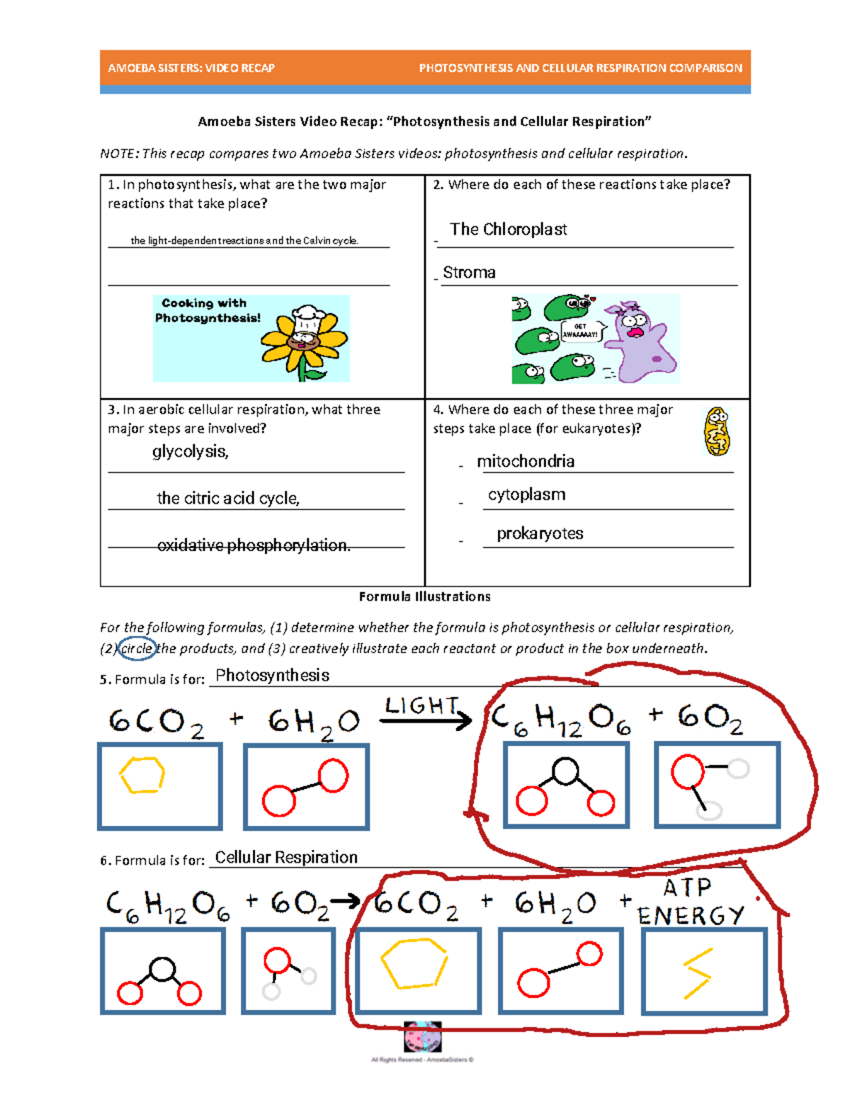 Photosynthesis Amoeba Sisters Youtube Watch V Uixa8zxx0ku Identify 3