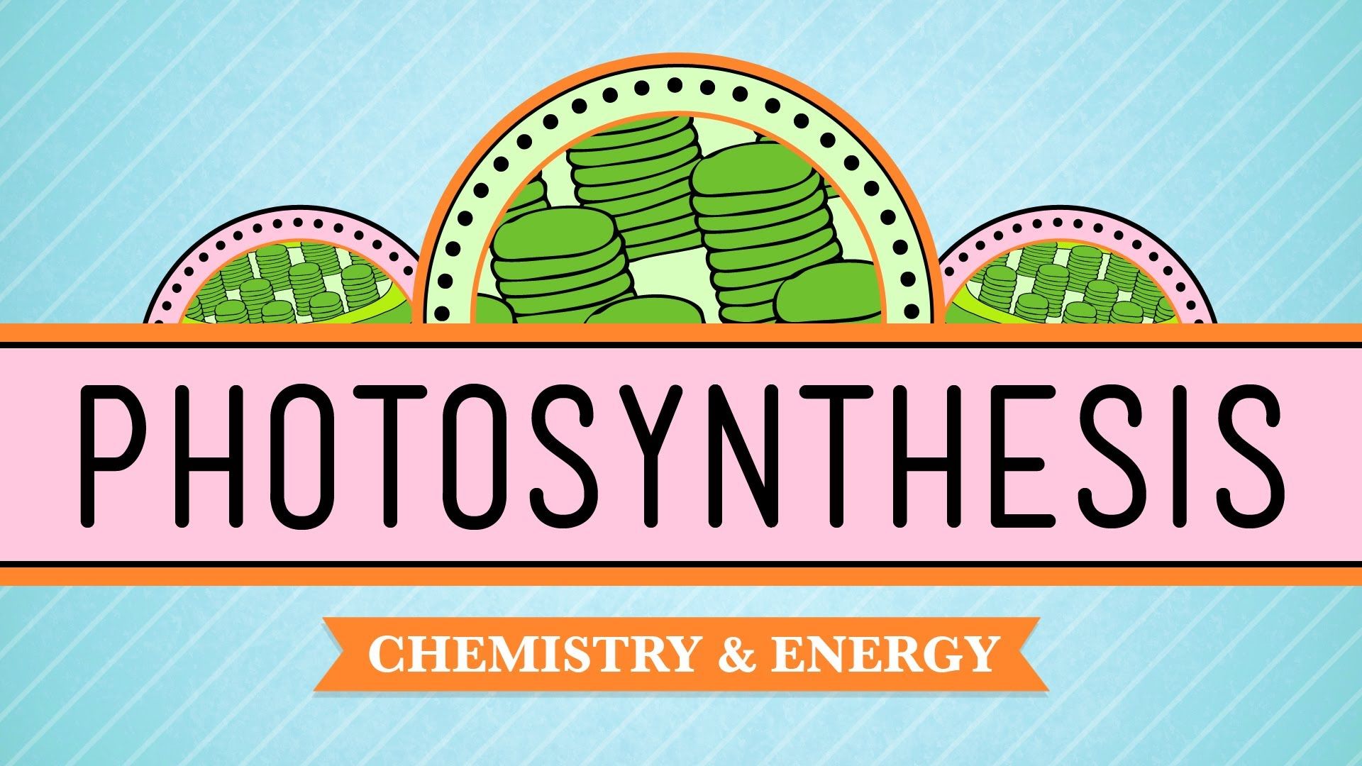 Photosynthesis Crash Course Biology Pbs Learningmedia