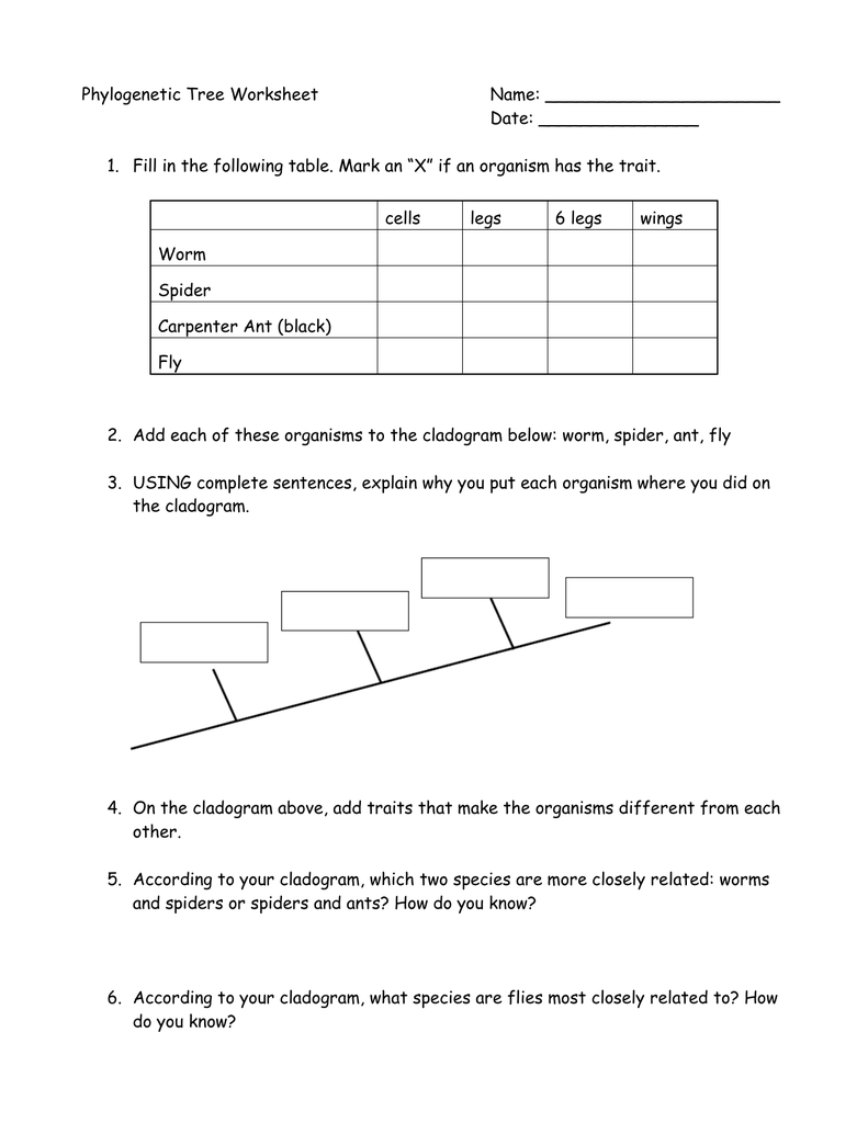 Phylogenetic Tree Worksheet