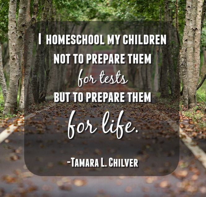 Pin On Homeschooling