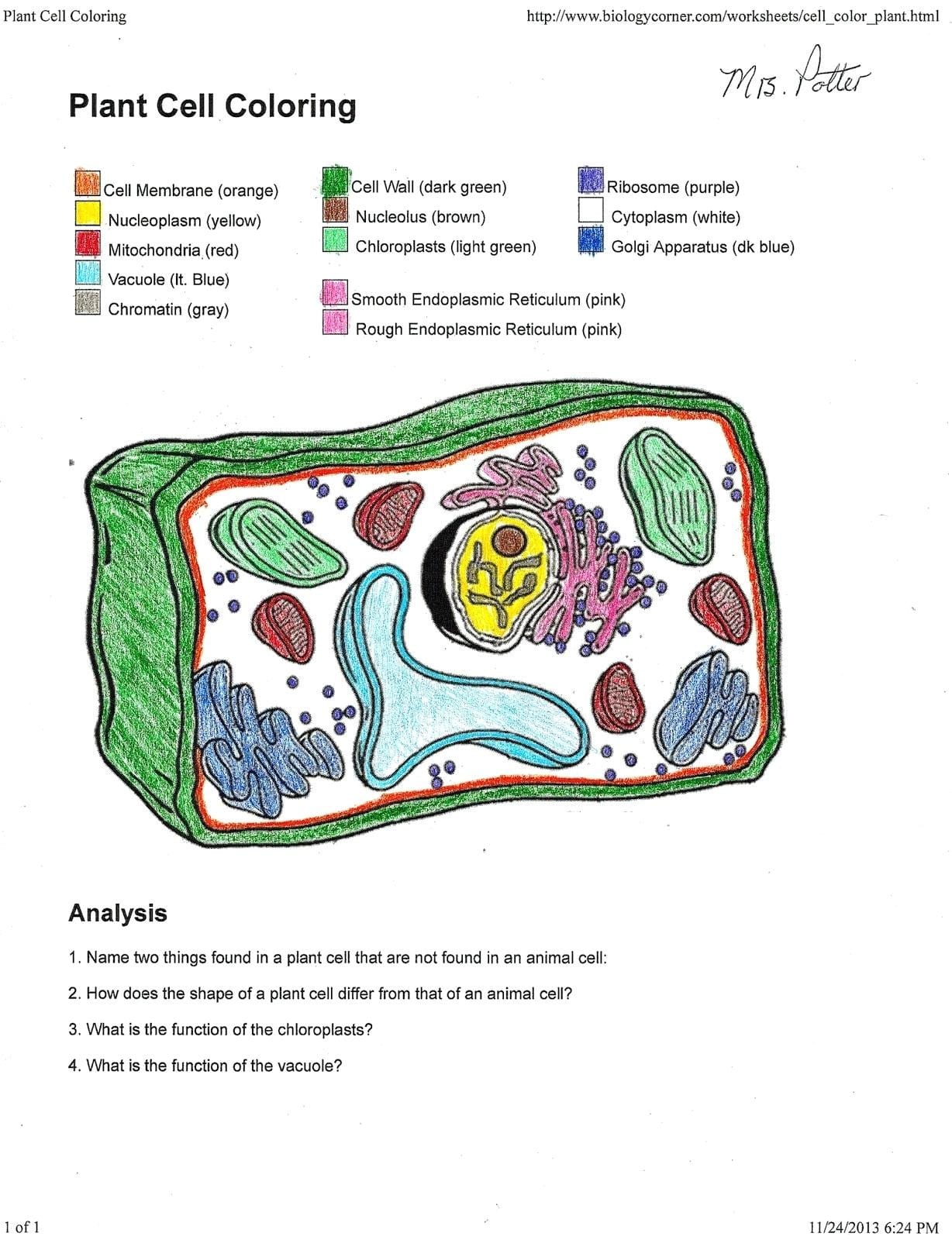 Plant And Animal Cell Coloring Page Key