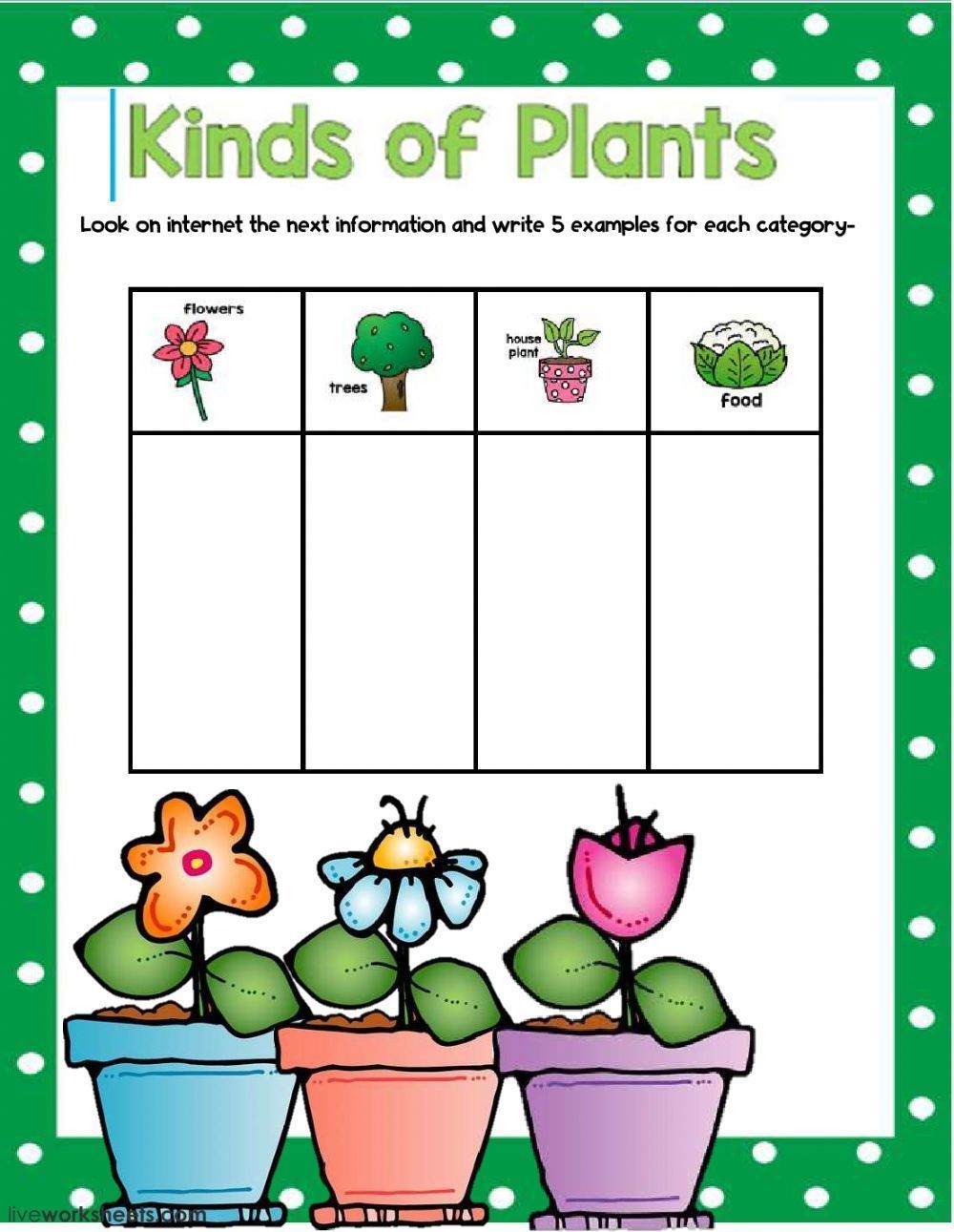 Plant Worksheets For Kindergarten Types Of Plants Plant Life Cycle