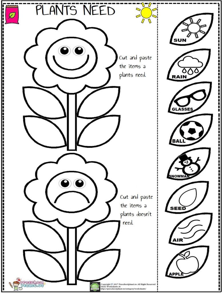 Plants 20 Activities For Kindergarten Plant Activities Plant