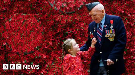 Poppy Appeal Wall Veterans Stories Shared On Installation Bbc News