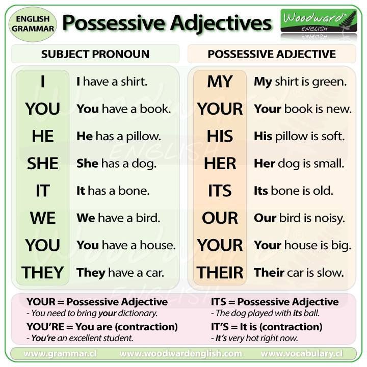 Possessive Adjectives Con Ejemplos Y Ejercicios