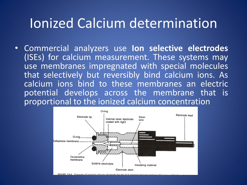 Ppt Calcium Homeostasis Powerpoint Presentation Free Download Id