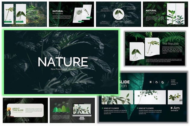 Ppt Math In Nature Powerpoint Presentation Free Download Id 1927666