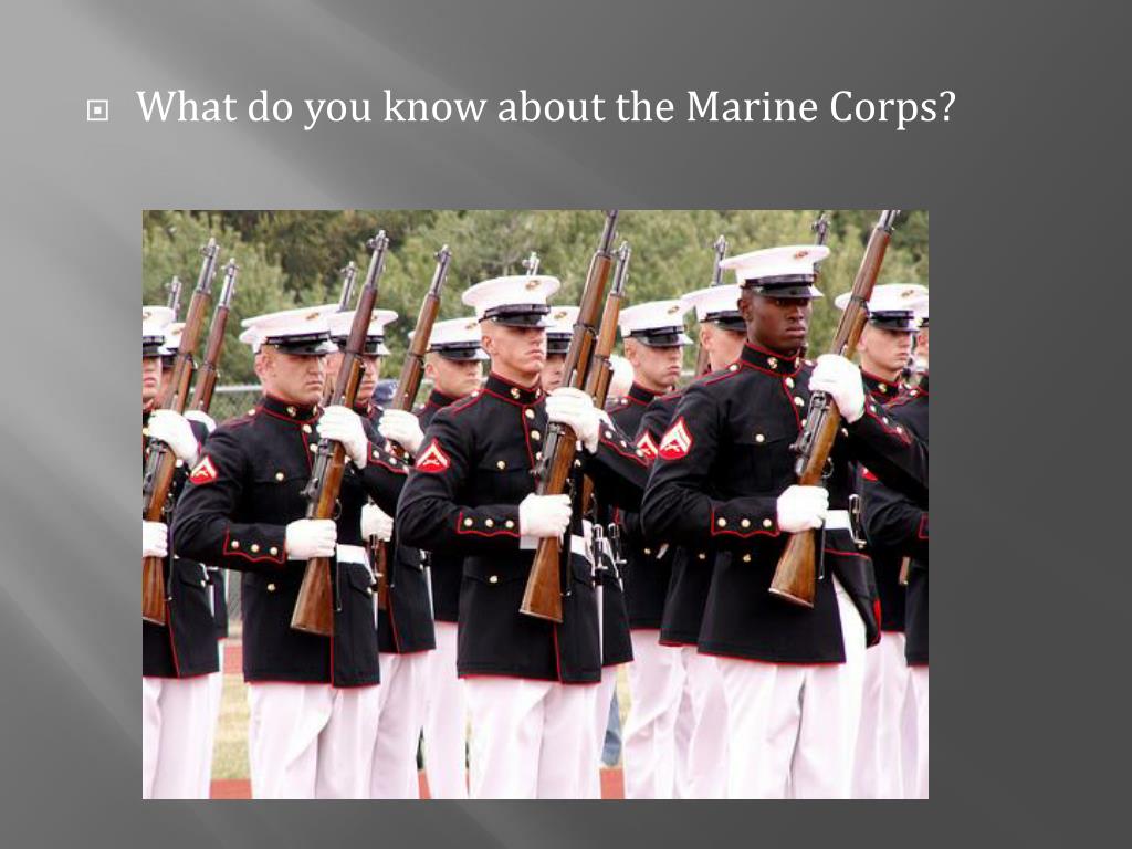 Ppt The Marines Powerpoint Presentation Free Download Id 5802618