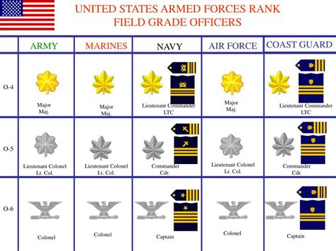 Ppt United States Armed Forces Rank Warrant Officers Powerpoint Presentation Id 4370816