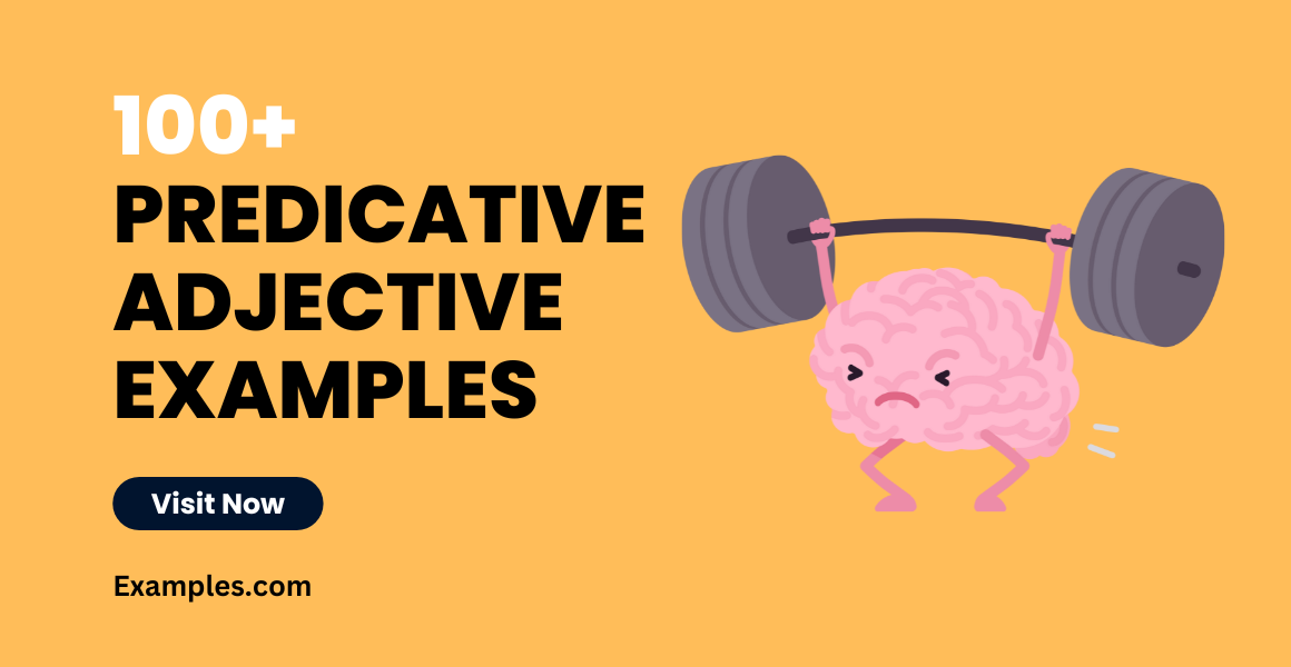 Predicative Adjective 99 Examples How To Use Pdf Tips