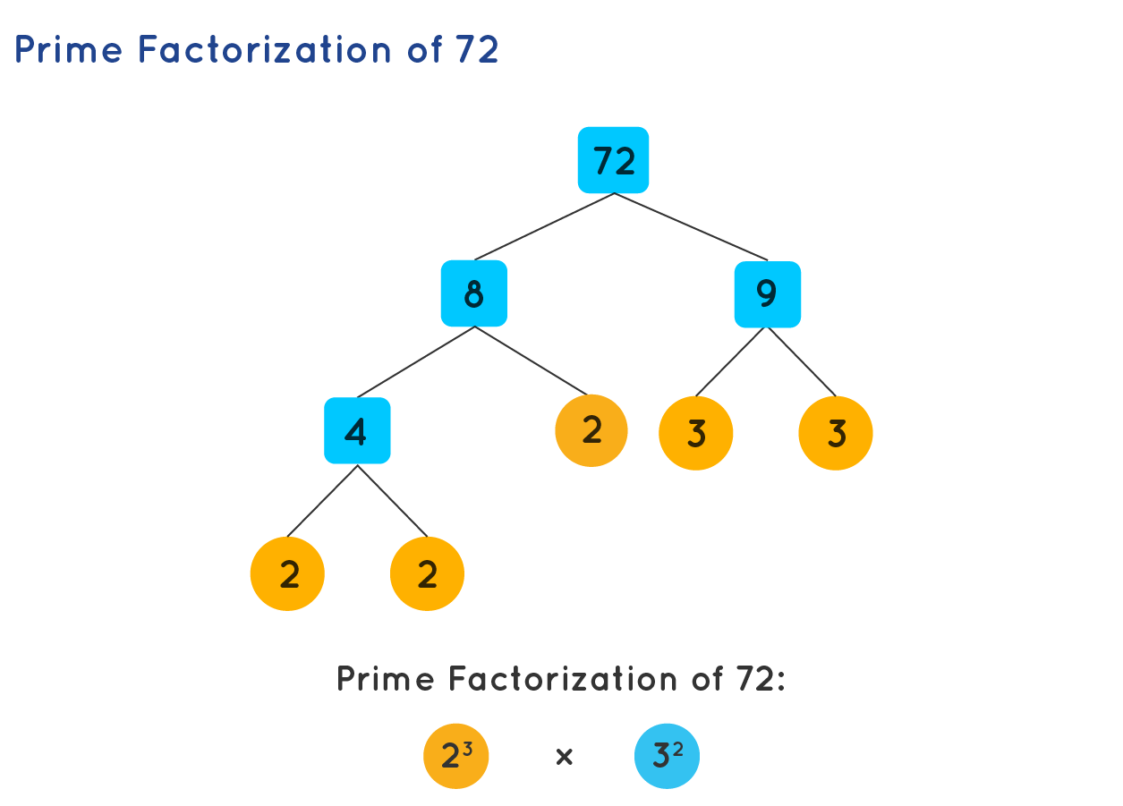 Prime Factorisation Learn Definition Facts Examples