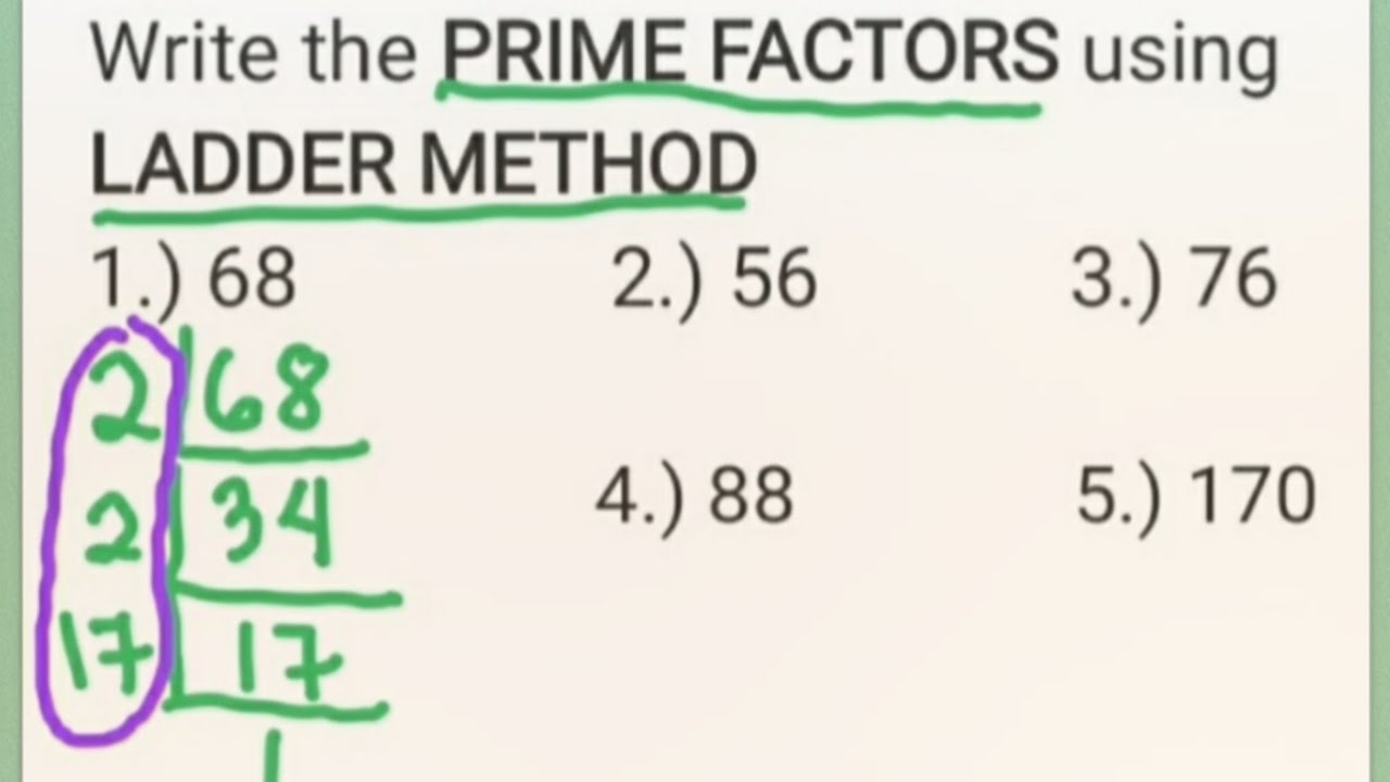 Prime Factorization Using Ladder Method Lcm And Gcf Worksheets Tpt