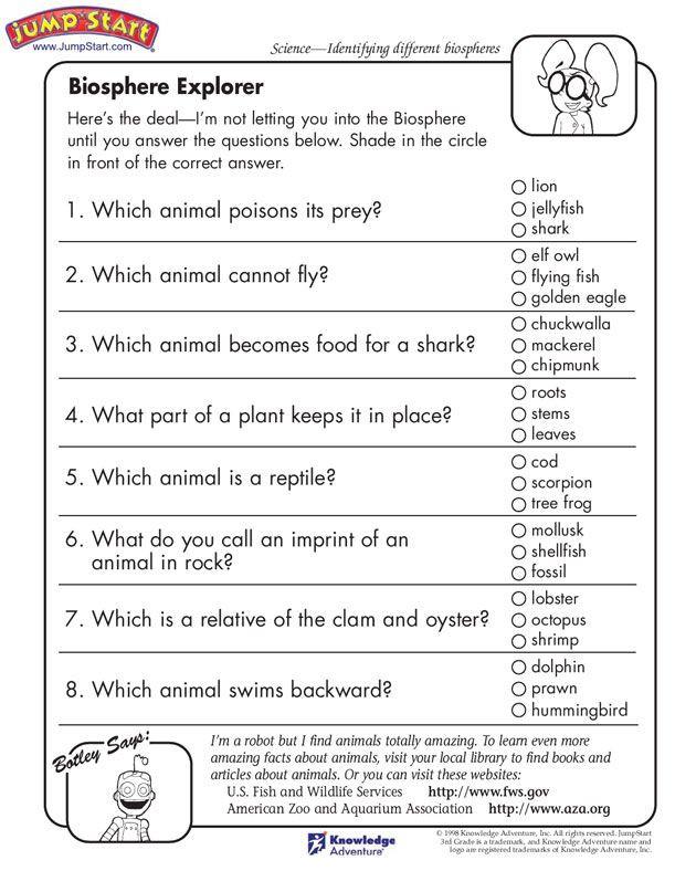 Printable 8Th Grade Science Worksheets