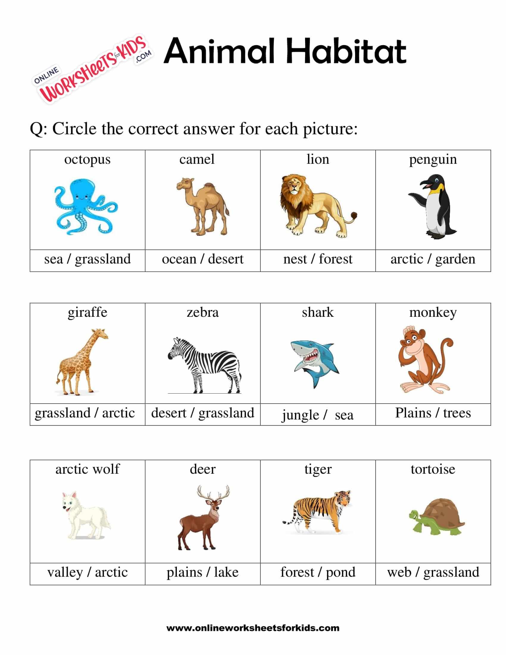 Printable Animal Habitats Worksheets