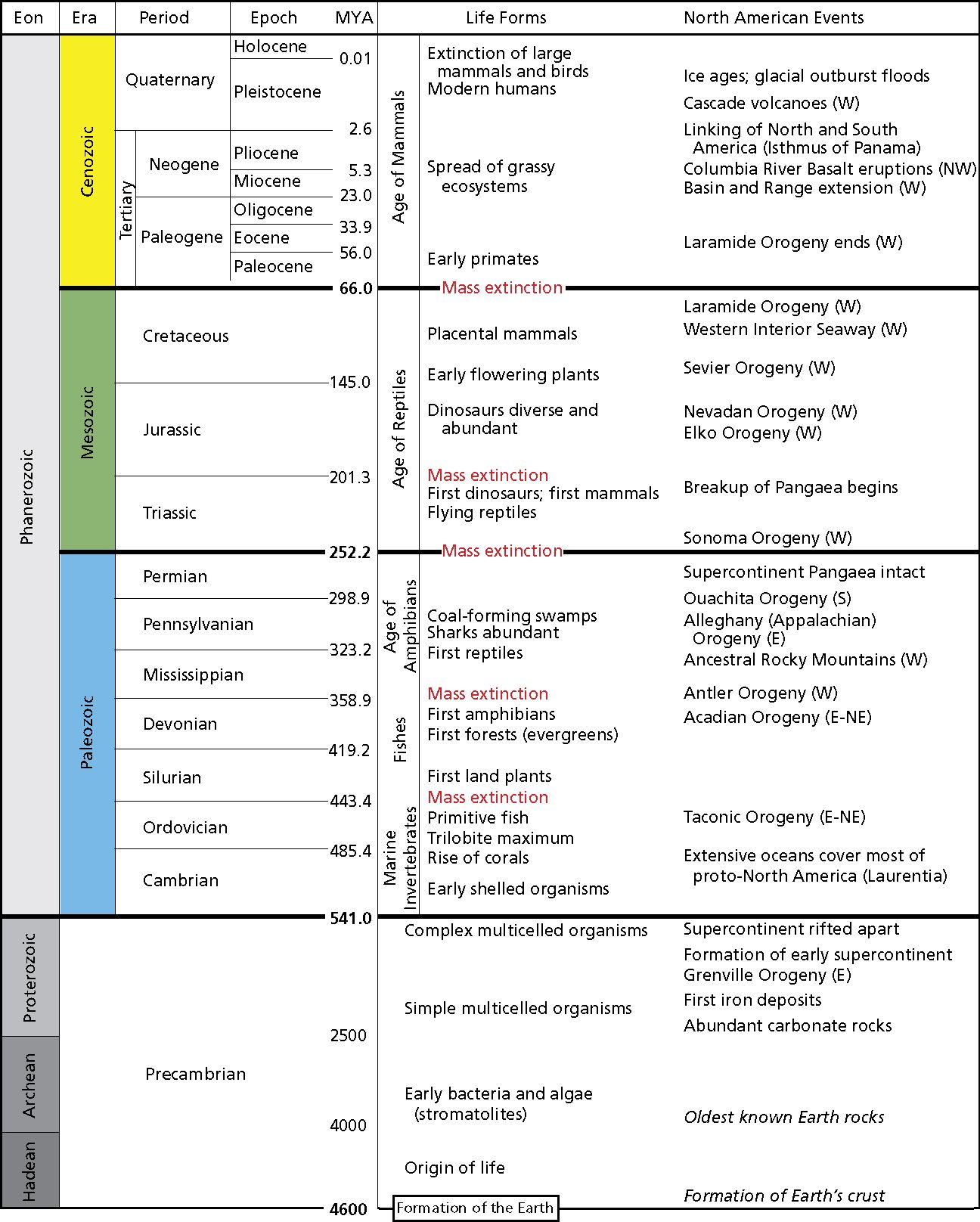 Printable Blank Geologic Time Scale Worksheet Kidsworksheetfun