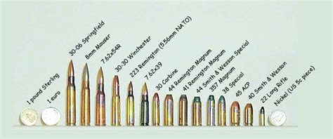 Printable Bullet Size Chart