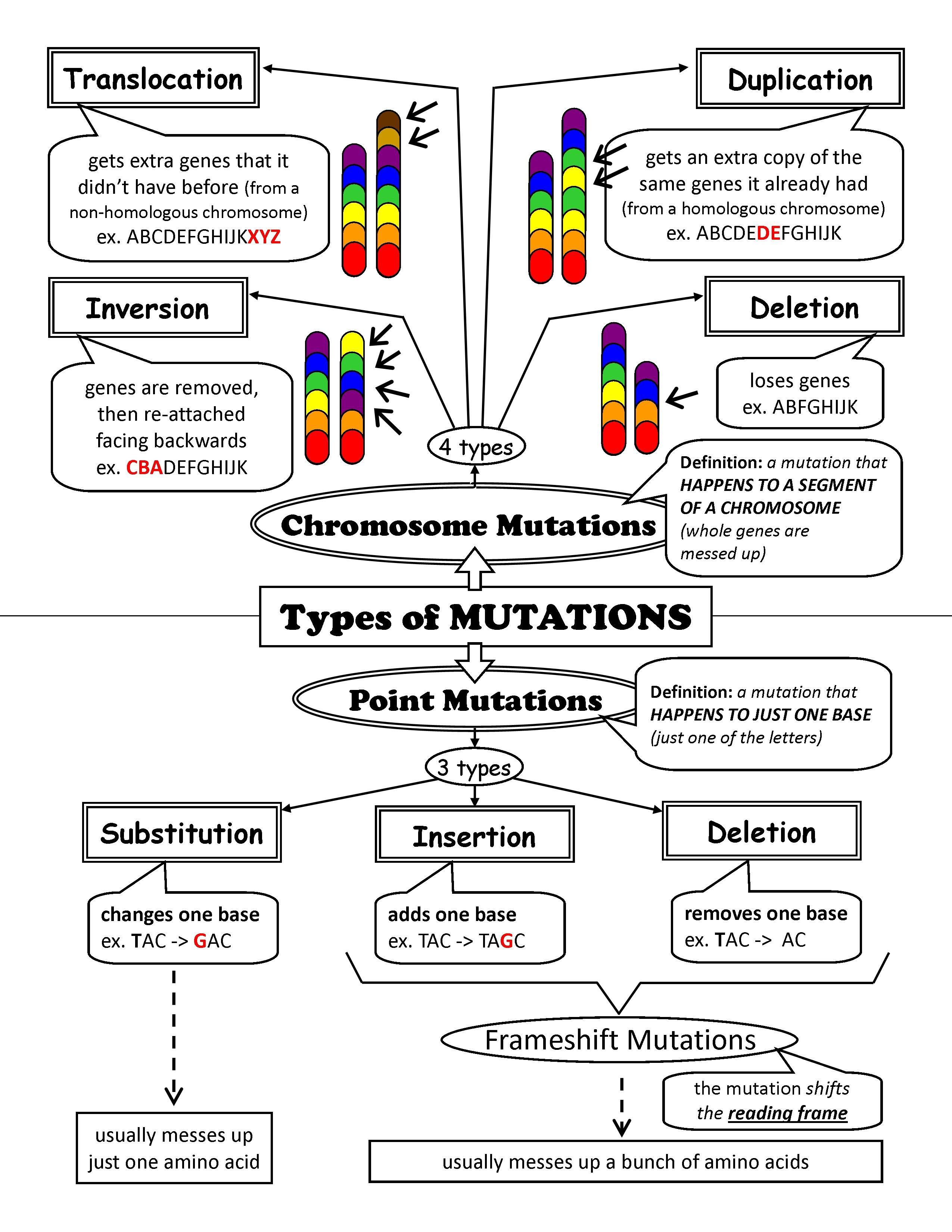 Printable Dna Mutation Activity Sheet A Fun Way To Learn About