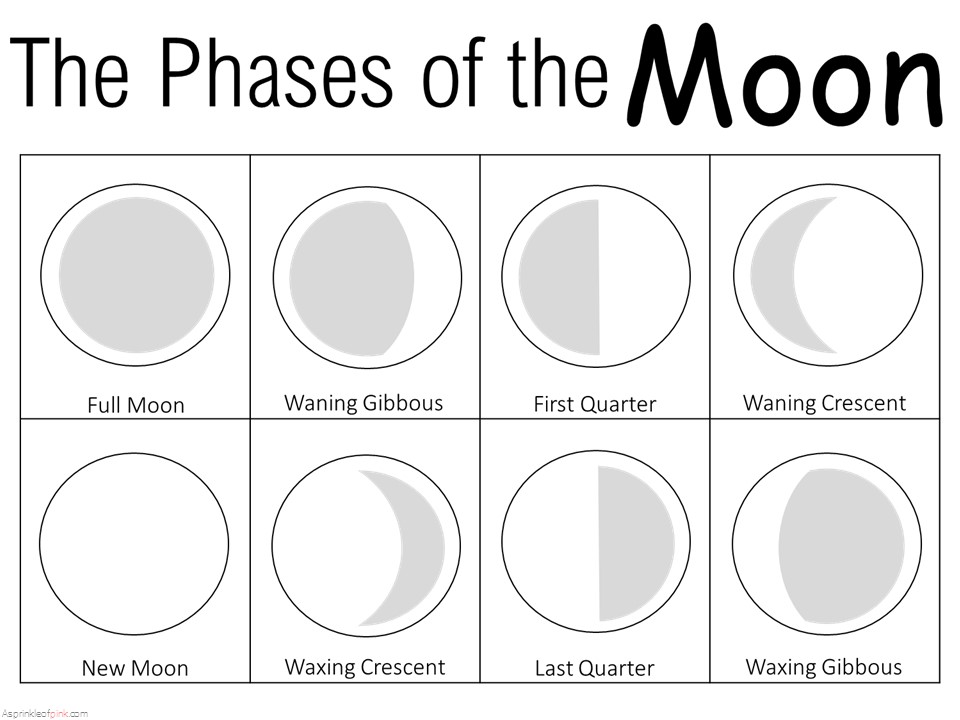 Oreo Moon Phases Worksheet: Fun Lunar Learning Printable