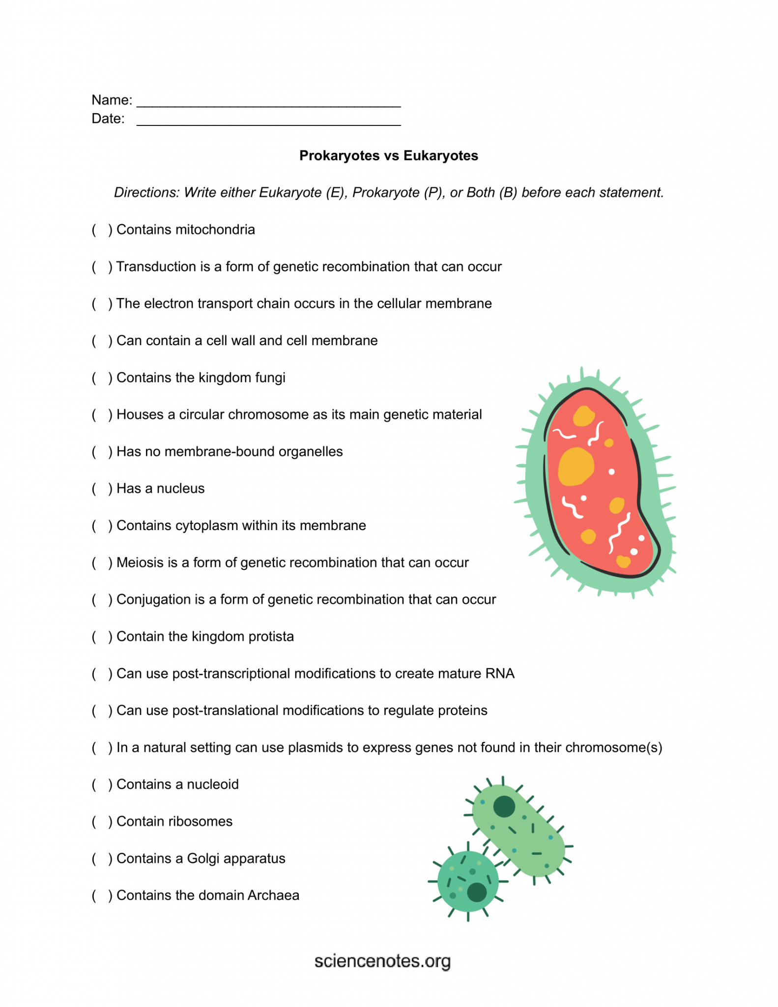 Prokaryote Vs Eukaryote Worksheet With Answer Key Laney Lee