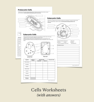 Prokaryotic And Eukaryotic Cells Worksheet With Answer Key Laney Lee