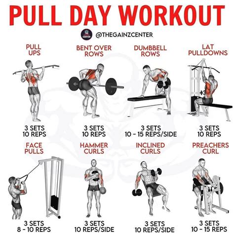 5 Pull Day Exercises