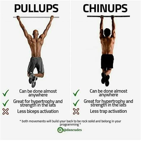 Pull Ups And Chin Ups In Same Workout