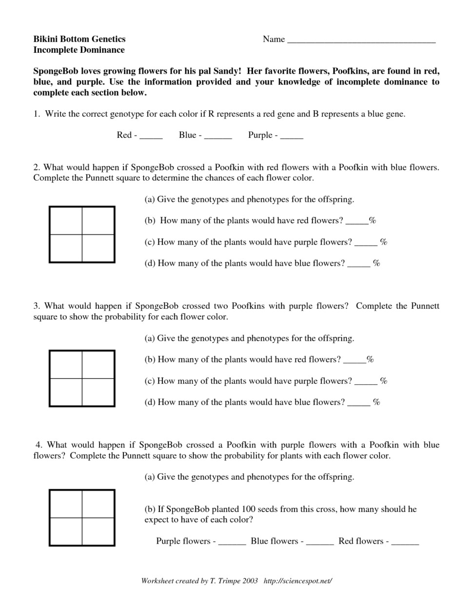 Punnett Square Incomplete Dominance Worksheet Answer Key Genetics